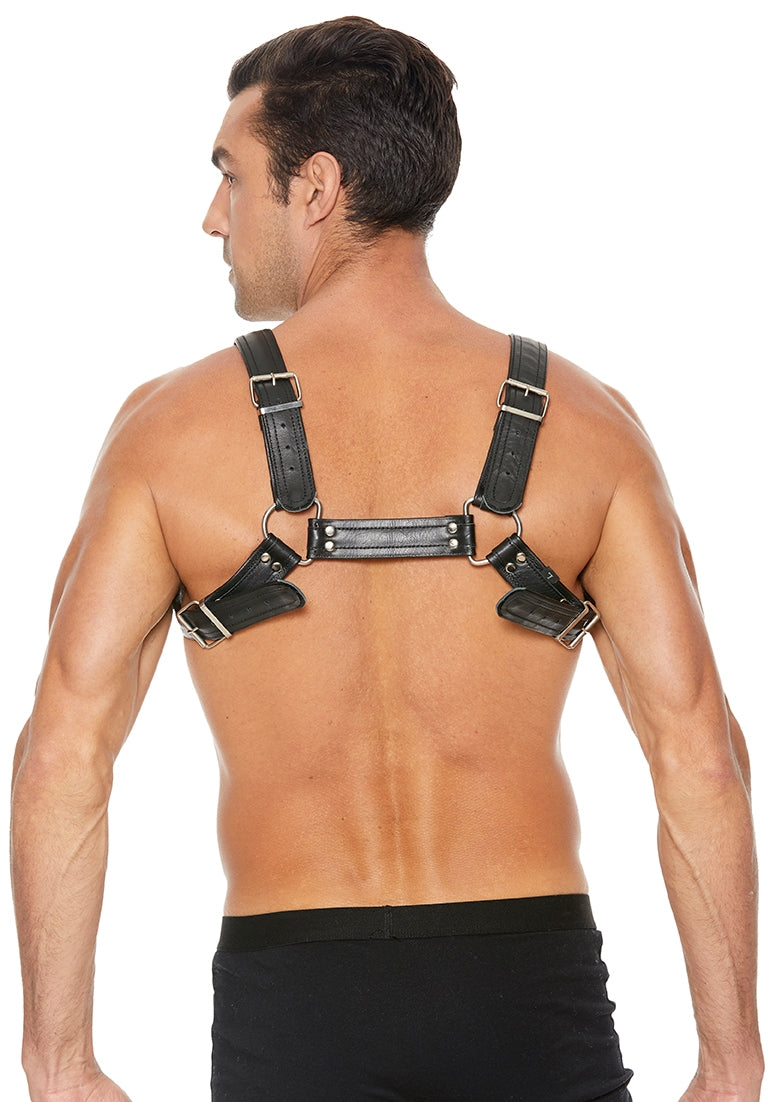 Buckle Bulldog Harness - L/xl - Black