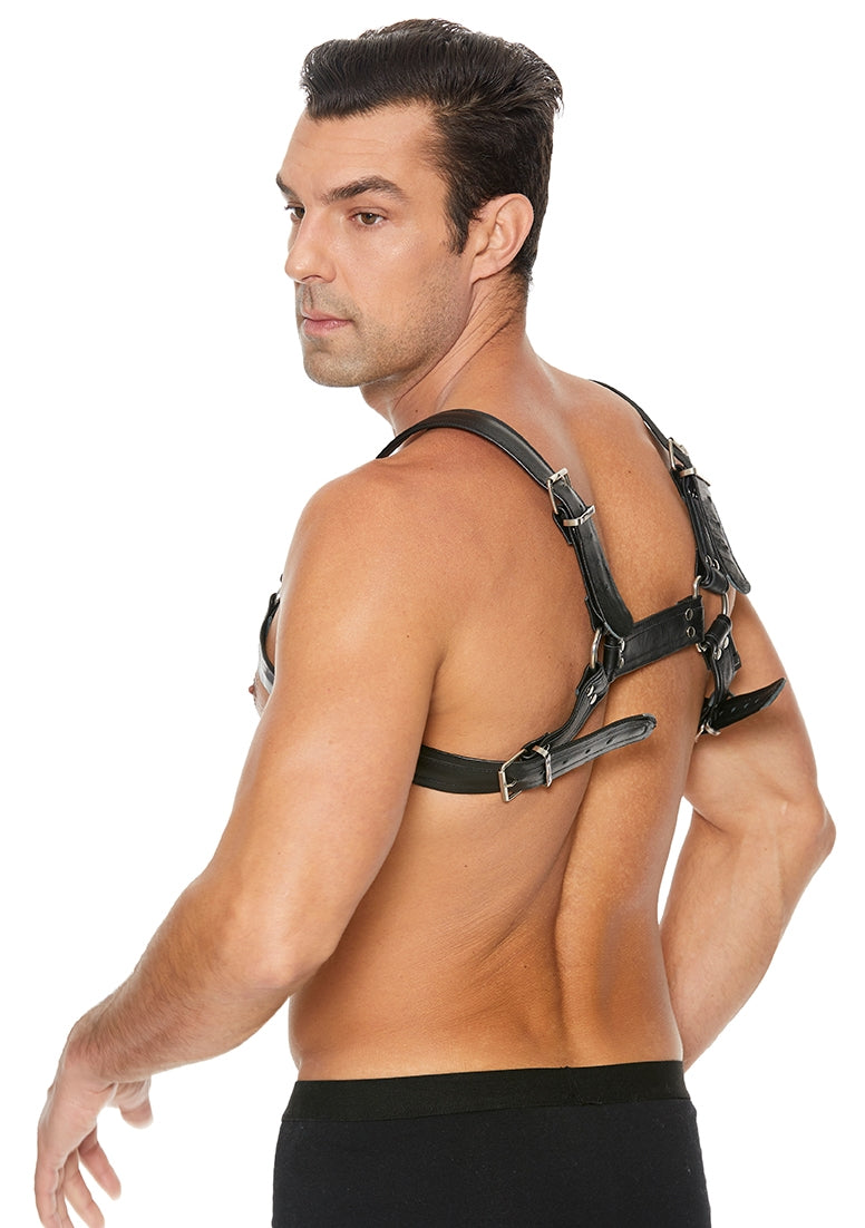 Buckle Bulldog Harness - S/m - Black