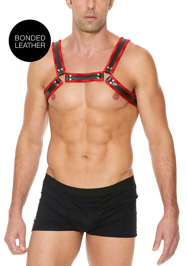 Buckle Bulldog Harness - L/xl - Red