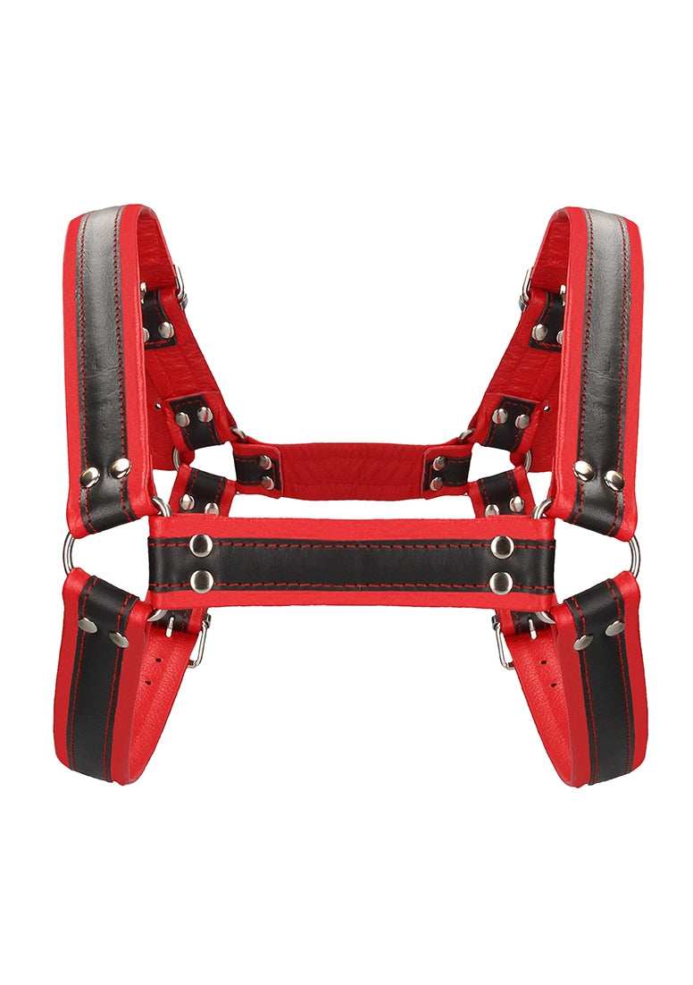 Buckle Bulldog Harness - L/xl - Red
