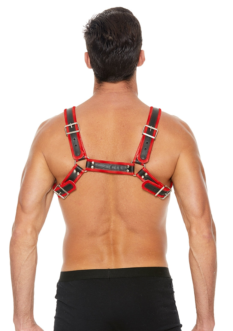 Buckle Bulldog Harness - L/xl - Red