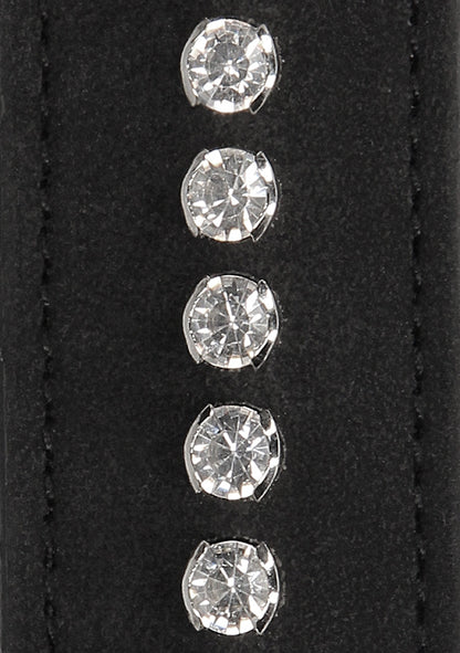Diamond Studded Collar With Leash - Black