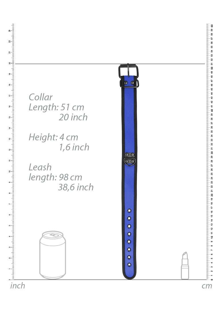 Neoprene Collar With Leash