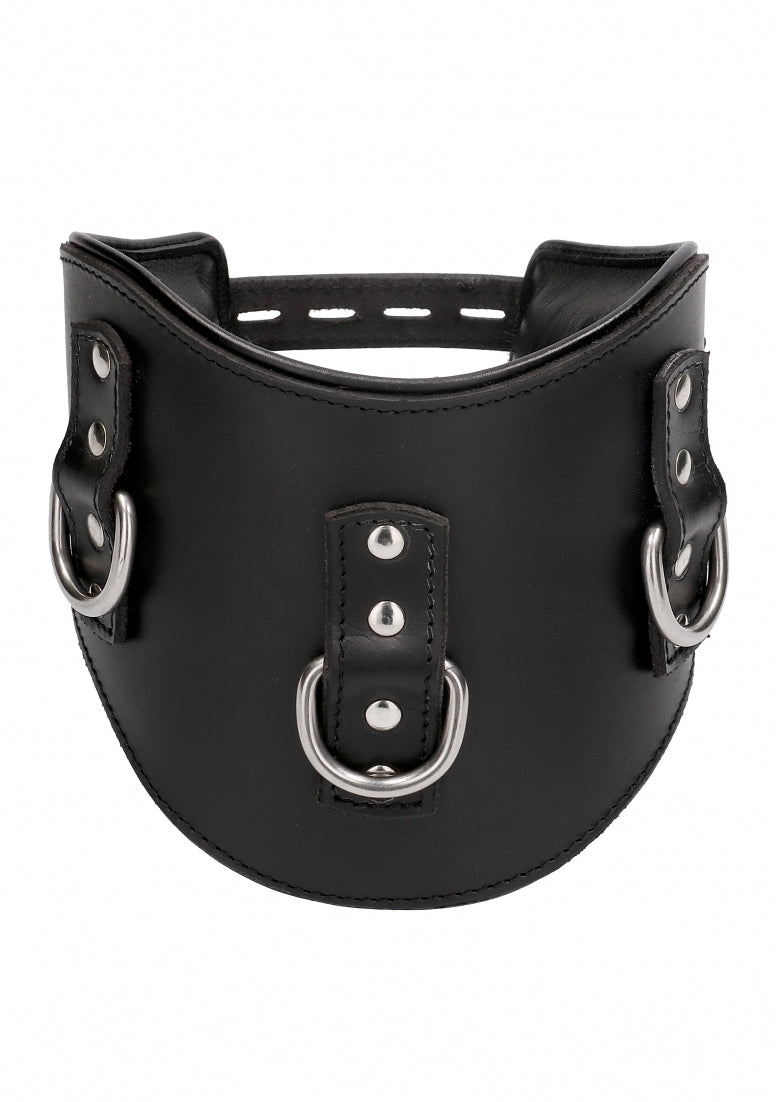 Heavy Duty Padded Posture Collar - Black