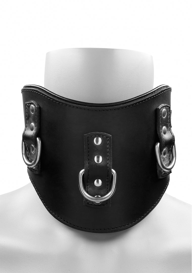 Heavy Duty Padded Posture Collar - Black