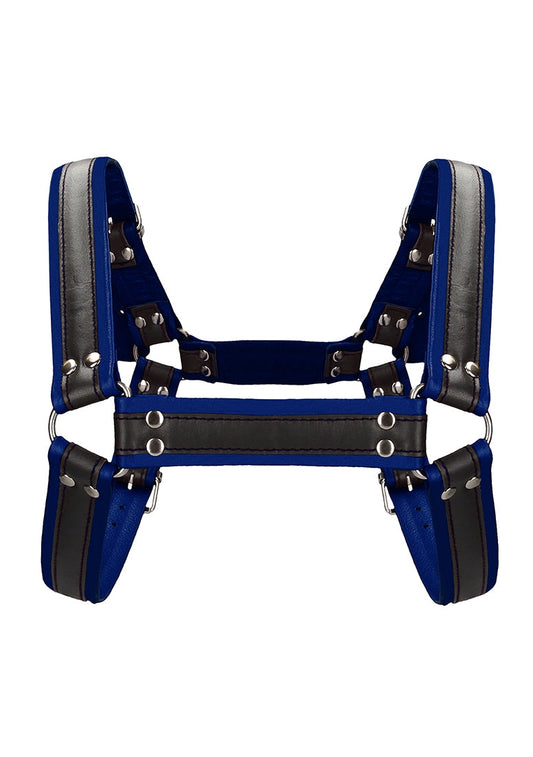 Buckle Bulldog Harness - L/xl - Blue