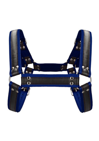 Buckle Bulldog Harness - S/m - Blue