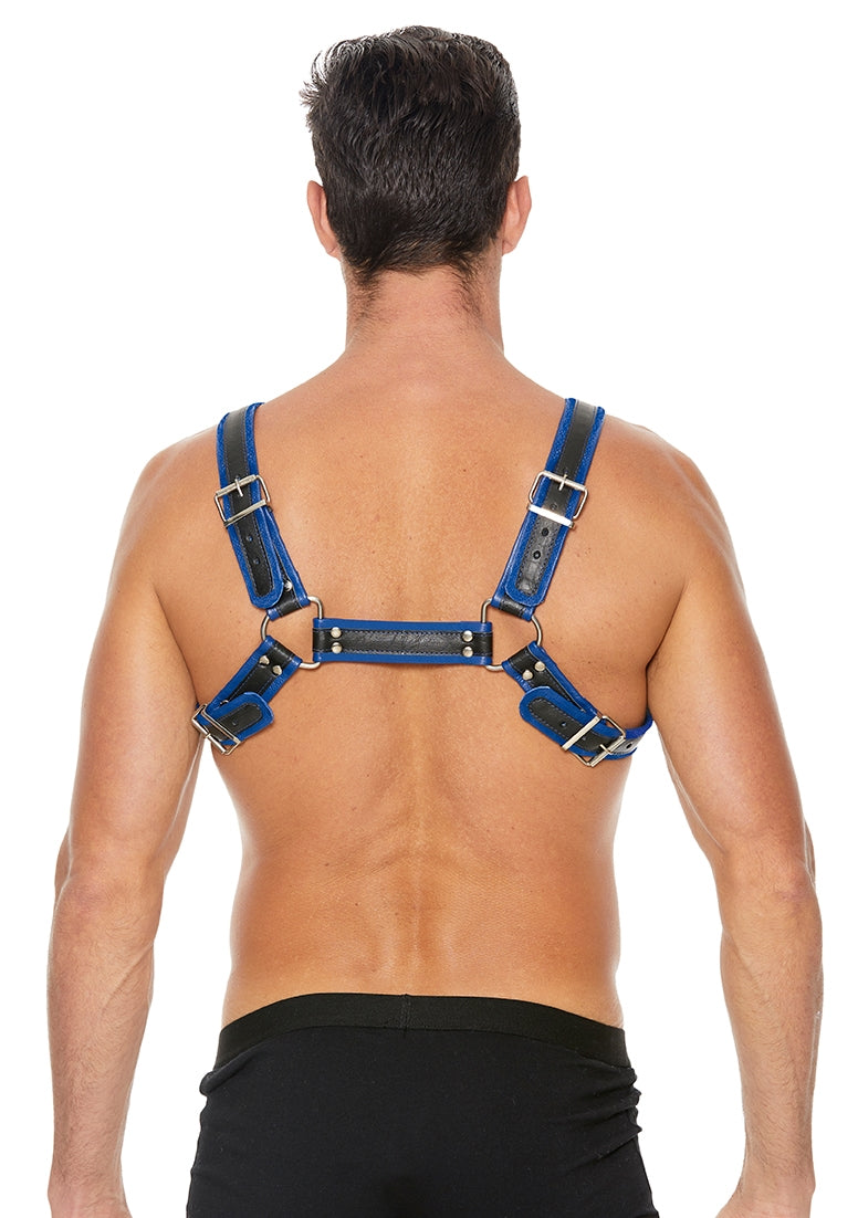 Buckle Bulldog Harness - S/m - Blue