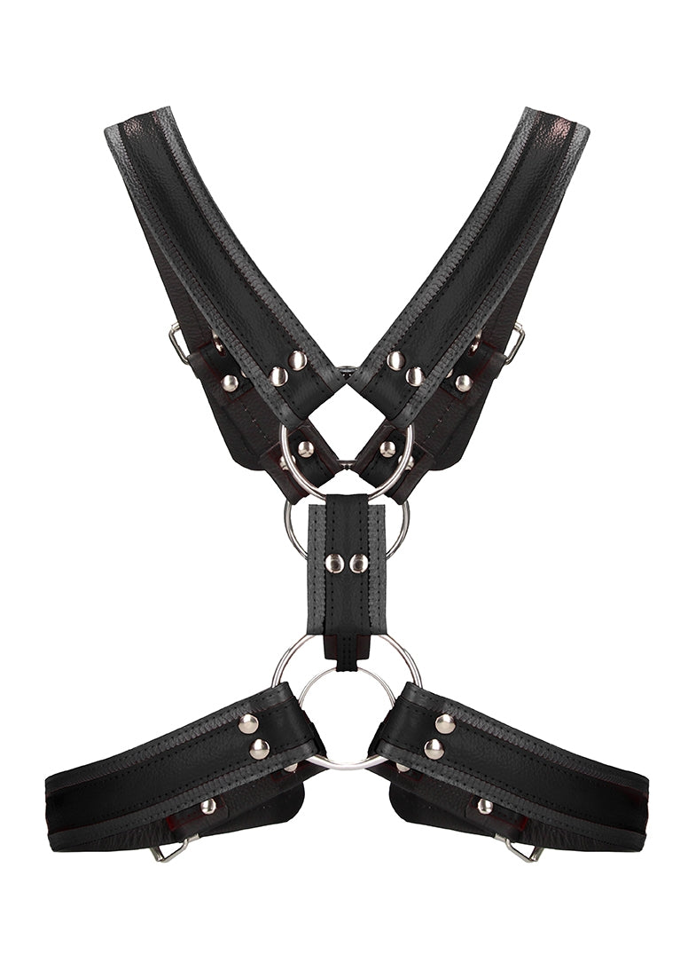 Scottish Harness - S/m - Black