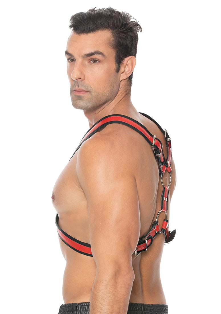 Scottish Harness - S/m - Red