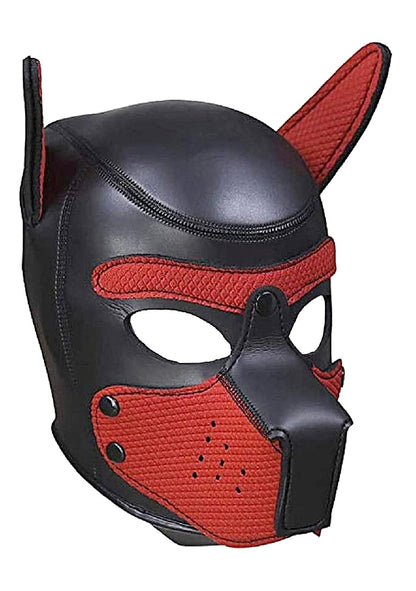 Neoprene Puppy Kit - L/xl