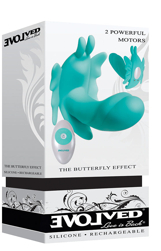 The Butterfly Effect